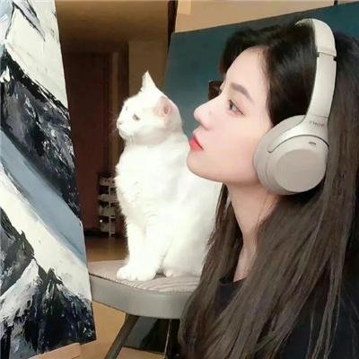 恋爱局中局